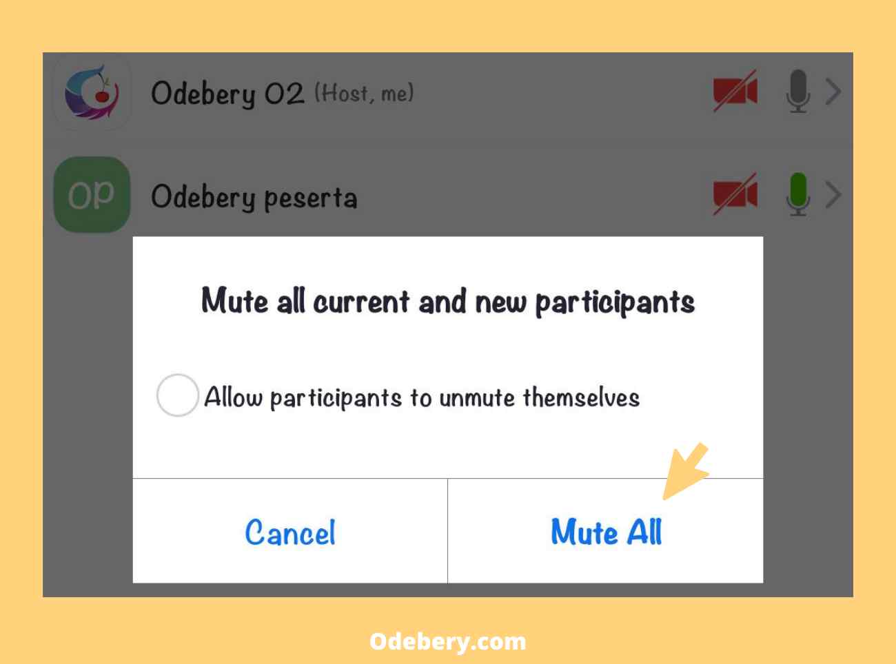 Cara Mengaktifkan Suara Di Zoom